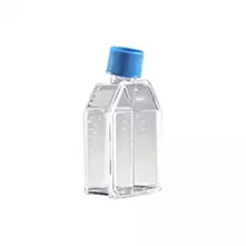 Frasco de cultivo celular BioCoat Colágeno I - 25cm²
